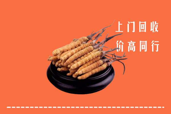 高价求购：郁南县回收散虫草