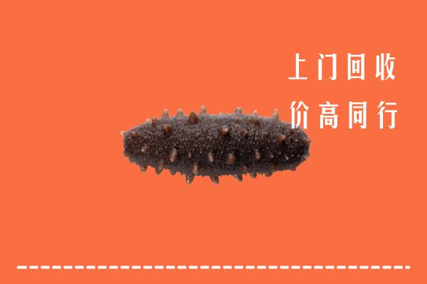 高价求购：郁南县回收海参