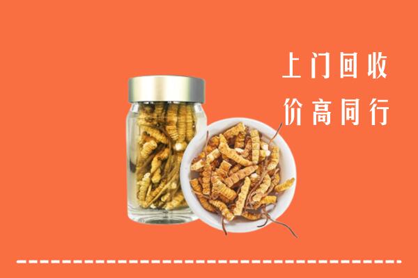 郁南县回收冬虫夏草