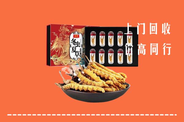 郁南县回收虫草